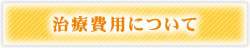 費用について