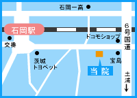 医院案内マップ