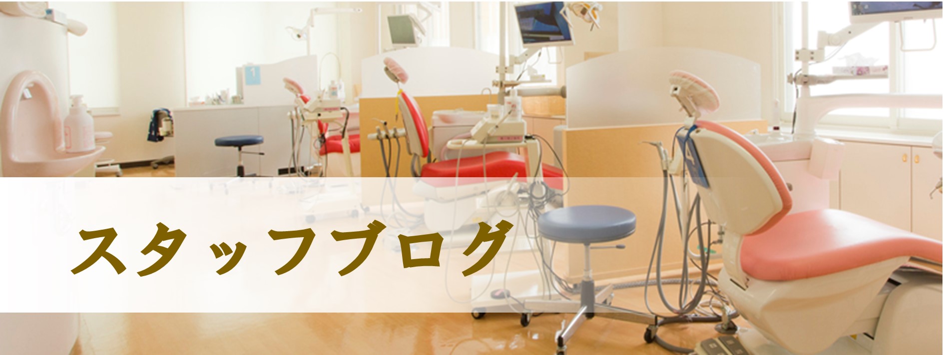 スタッフブログ